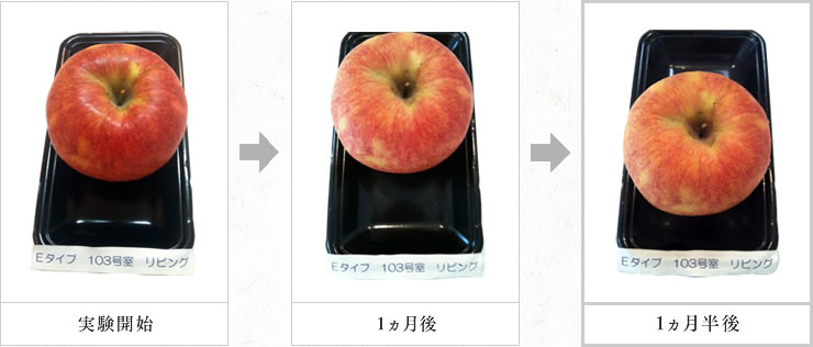 磁気炭を敷いたリビングルームに置いたリンゴの実験